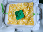 Kolorowy środek