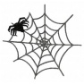 Pająk w pajęczynie