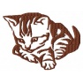 Kotek