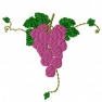 Winogrono